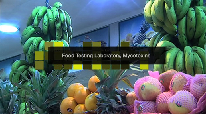BTSF Food Testing Laboratory Mycotoxins Video